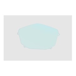 RACINGBIKE REPLACEMENT GLASS DASHBOARD PROTECTION APRILIA TUONO V4 17-20 CLEAR