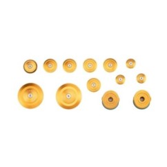 PUIG ALUMINUM FRAME CAPS BMW R1250 R 18-23 GOLD