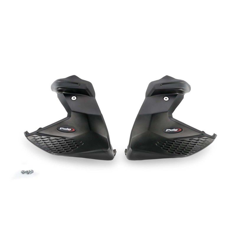 Proteccion de motor Puig BMW R1250 R 21 25 negra