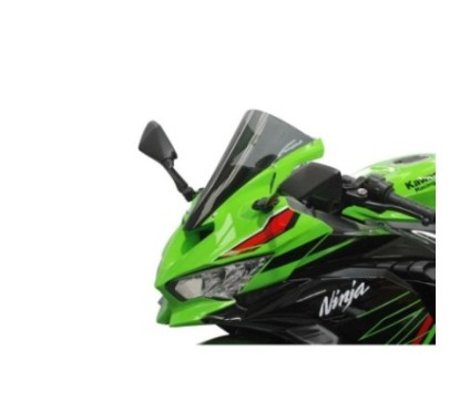 RACINGBIKE BULLE RACING HP KAWASAKI ZX-4R NINJA 2024 FUME FONCE