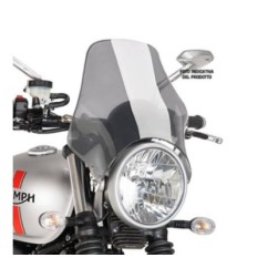 PUIG UNIV. WINDSCHUTZSCHEIBE NACKTER SUZUKI GSF1250 BANDIT 07-09 LEICHTER RAUCH