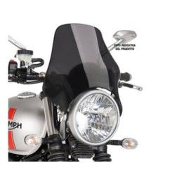 PUIG PARE - BRISE UNIVERSEL NAKED SUZUKI GSF1250 BANDIT 07-09 FUMEE FONCE