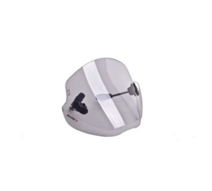 Pare-brise Puig Univ Trend pour BMW R Nine T 17-22, fume clair