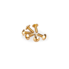 puig kit anodized screws m5 for gold color windshields