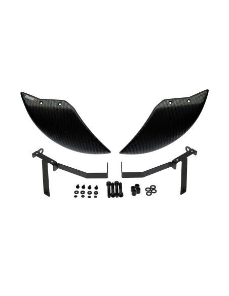Deflector aerodinamico Puig para rueda delantera BMW M1000R 25-26 con aspecto de carbono