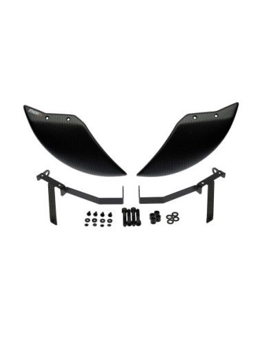 Puig aerodynamic deflector front wheel BMW S1000RR 25-26 carbon look