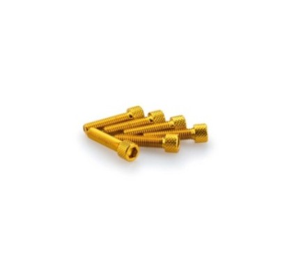 puig kit anodized screws m6 for windshields yellow color