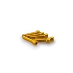 PUIG YELLOW ANODIZED SCREWS KIT - COD. 0258G - Cylindrical head, hexagon socket. Blister of 6 pieces. Size M6 x 30mm.