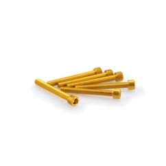 PUIG YELLOW ANODIZED SCREWS KIT - COD. 0421G - Cylindrical head, hexagon socket. Blister of 6 pieces. Size M6 x 50mm.