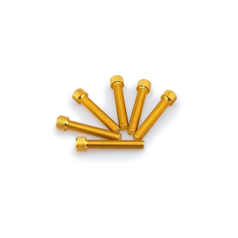 PUIG KIT DE TORNILLOS ANODIZADOS AMARILLO - COD. 0516G - Cabeza cilIndrica, casquillo hexagonal. BlIster de 6 piezas. TamaNo M8 