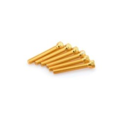 PUIG YELLOW ANODIZED SCREWS KIT - COD. 0540G - Cylindrical head, hexagon socket. Blister of 6 pieces. Size M8 x 55mm.