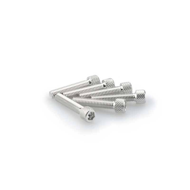 PUIG SILVER ANODIZED SCREWS KIT - COD. 0258P - Cylindrical head, hexagon socket. Blister of 6 pieces. Size M6 x 30mm.