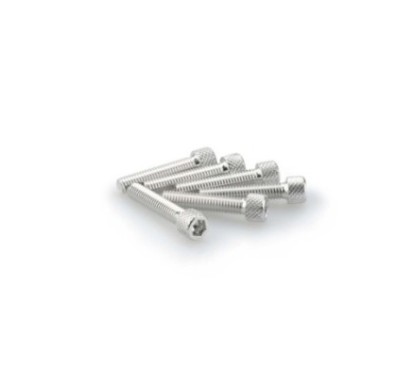 PUIG SILVER ANODIZED SCREWS KIT - COD. 0258P - Cylindrical head, hexagon socket. Blister of 6 pieces. Size M6 x 30mm.