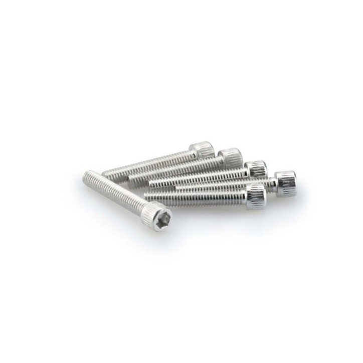 PUIG SILVER ANODIZED SCREWS KIT - COD. 0346P - Cylindrical head, hexagon socket. Blister of 6 pieces. Size M6 x 35mm.