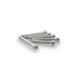 puig kit viti anodizzate m6 per cupolini colore silver