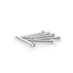 PUIG SILVER ANODIZED SCREWS KIT - COD. 0421P - Cylindrical head, hexagon socket. Blister of 6 pieces. Size M6 x 50mm.
