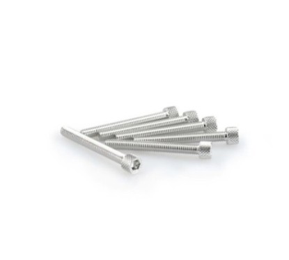 PUIG SILVER ANODIZED SCREWS KIT - COD. 0421P - Cylindrical head, hexagon socket. Blister of 6 pieces. Size M6 x 50mm.
