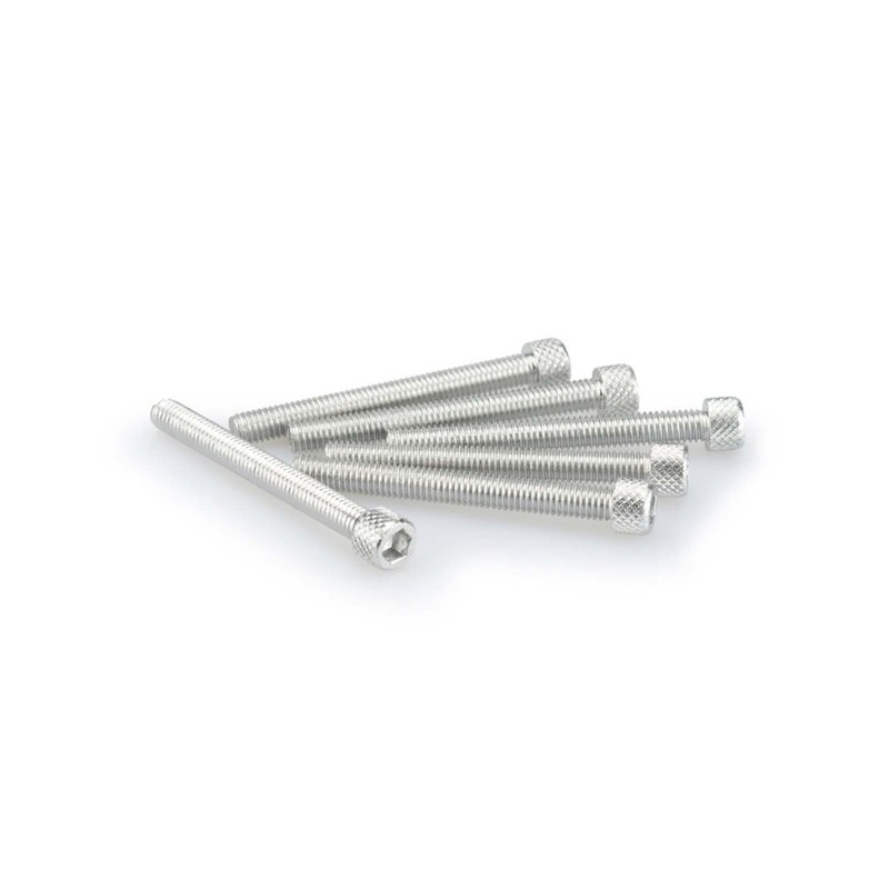 PUIG SILVER ANODIZED SCREWS KIT - COD. 0446P - Cylindrical head, hexagon socket. Blister of 6 pieces. Size M6 x 55mm.