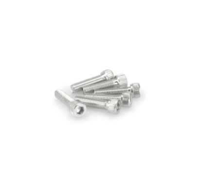puig kit viti anodizzate m8 per cupolini colore silver