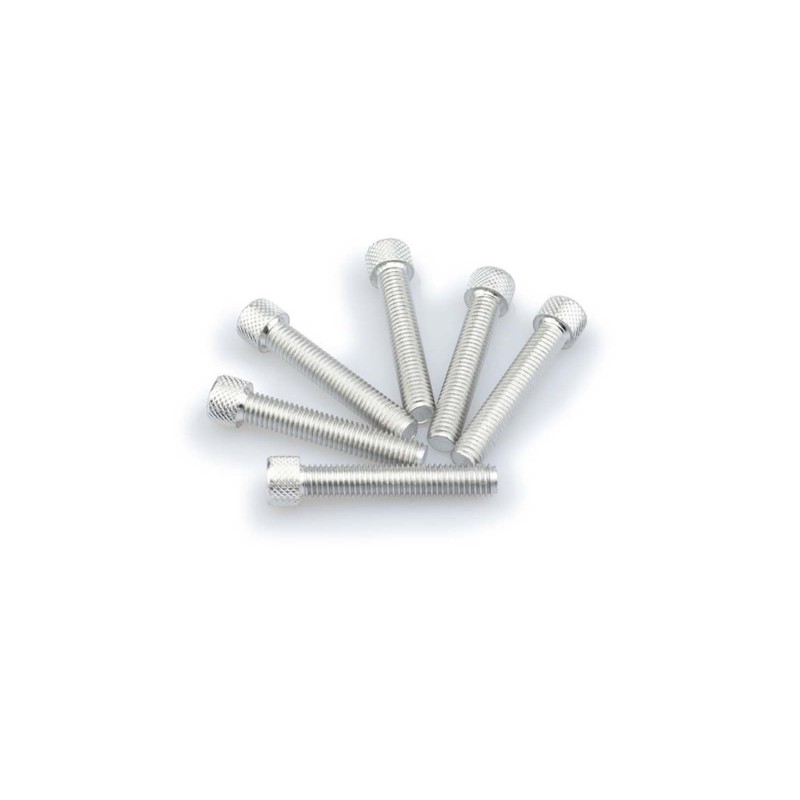 Kit de vis anodisees Puig M8 pour pare-brise couleur argent
