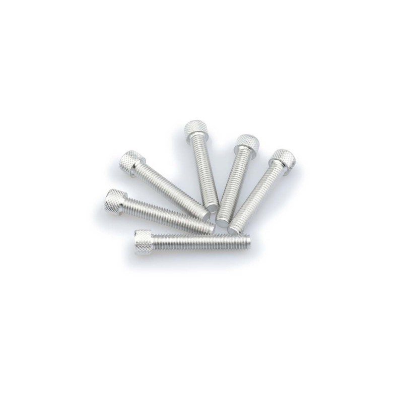 PUIG SILVER ANODIZED SCREWS KIT - COD. 0516P - Cylindrical head, hexagon socket. Blister of 6 pieces. Size M8 x 45mm.
