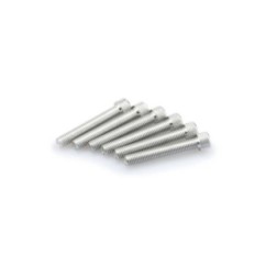 PUIG SILVER ANODIZED SCREWS KIT - COD. 0524P - Cylindrical head, hexagon socket. Blister of 6 pieces. Size M8 x 50mm.