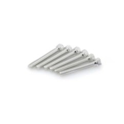 puig kit anodized screws m8 for windshields silver color