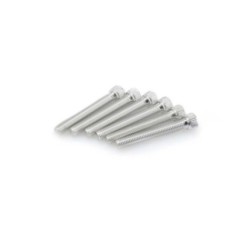PUIG SILVER ANODIZED SCREWS KIT - COD. 0540P - Cylindrical head, hexagon socket. Blister of 6 pieces. Size M8 x 55mm.