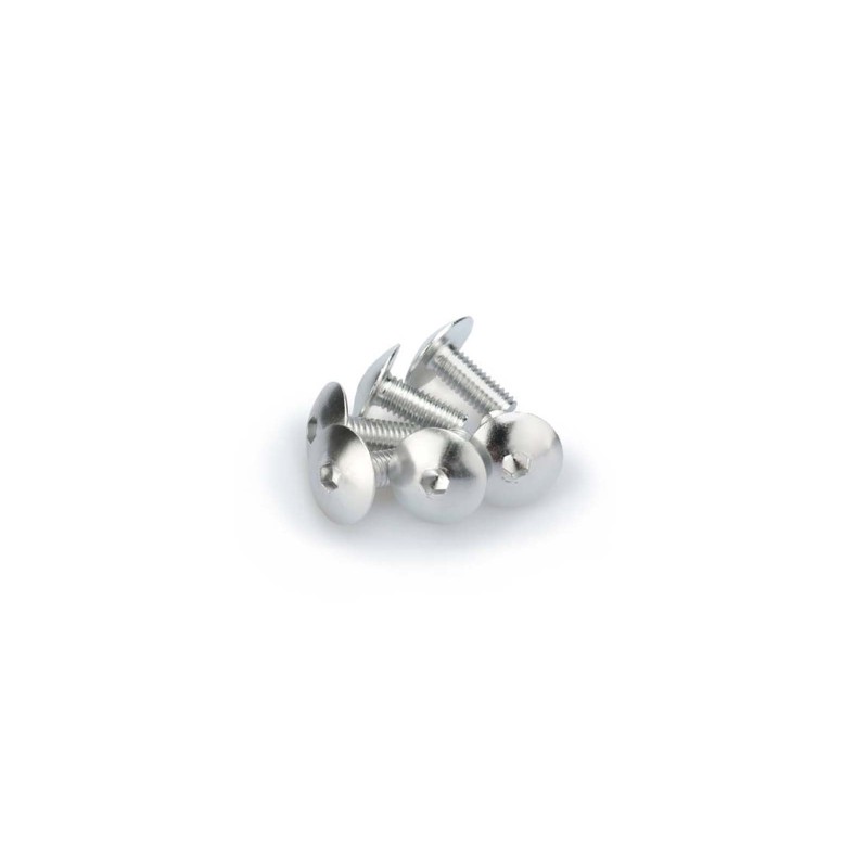 puig kit anodized screws m6 for windshields silver color