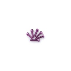 puig kit viti anodizzate m5 per cupolini colore viola
