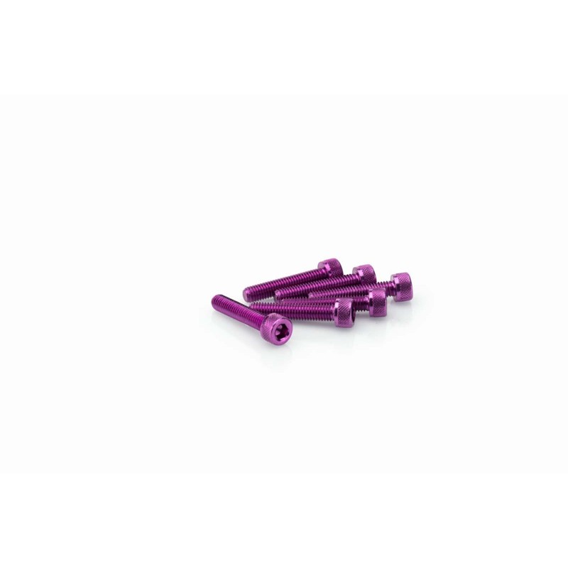 puig kit anodized screws m5 for windshields color purple