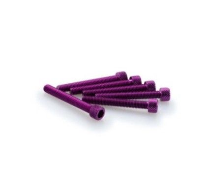 Puig Kit eloxierte Schrauben M6 fur Windschutzscheiben Farbe Lila