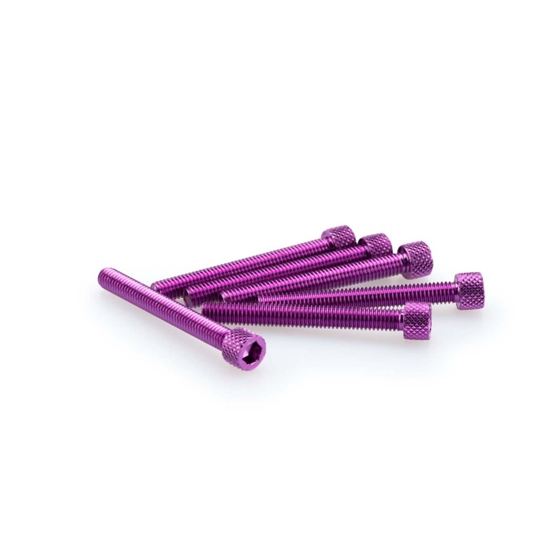 PUIG KIT DE TORNILLOS ANODIZADOS MORADO - COD. 0421L - Cabeza cilIndrica, casquillo hexagonal. BlIster de 6 piezas. TamaNo M6 x 