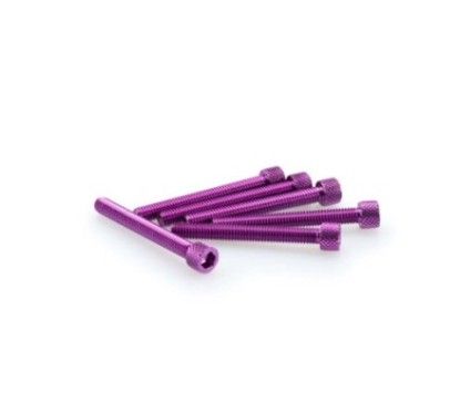 puig kit viti anodizzate m6 per cupolini colore viola
