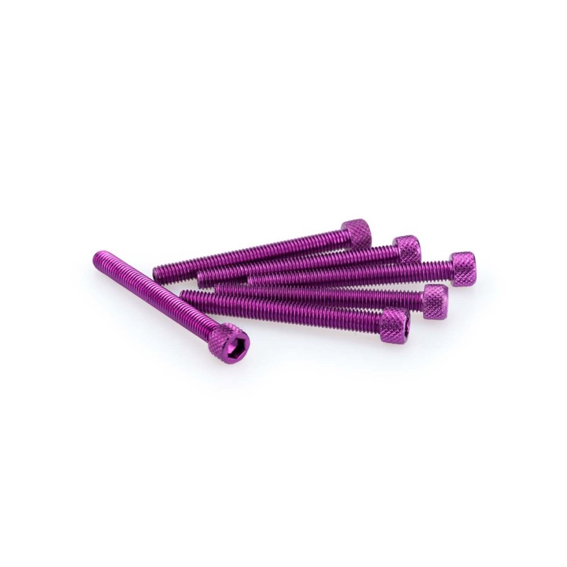 PUIG PURPLE ANODIZED SCREWS KIT - COD. 0446L - Cylindrical head, hexagon socket. Blister of 6 pieces. Size M6 x 55mm.