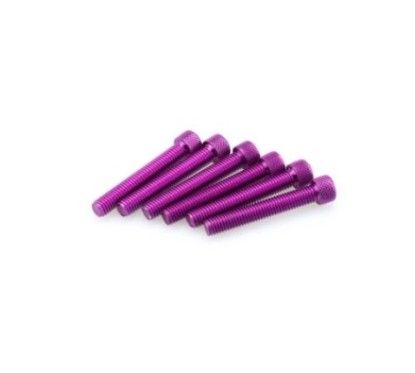 puig kit anodized screws m8 for windshields color purple