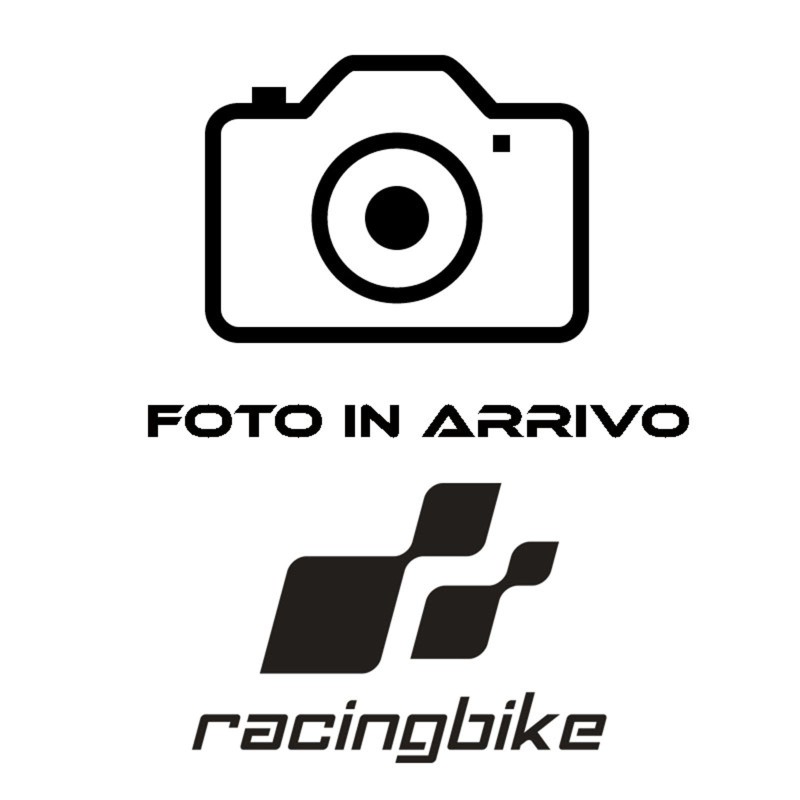 CADRE AVANT RACINGBIKE + CONDUIT D'AIR BMW S1000 RR 19-24 NOIR - INSTRUMENT ORIGINAL