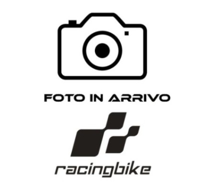RACINGBIKE TELAIO ANTERIORE + CONDOTTO ARIA PER BMW S1000 RR ANNO 19-23 COLORE NERO