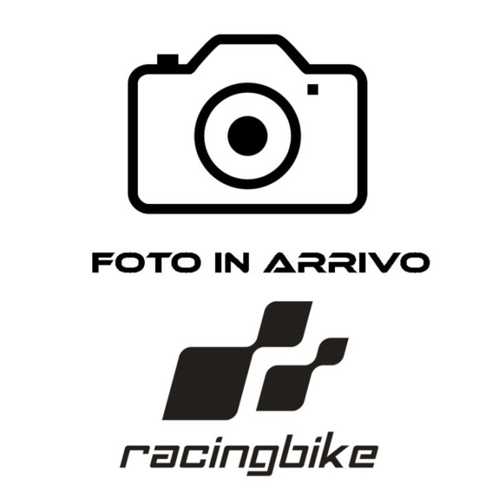 RACINGBIKE TELAIO ANTERIORE + CONDOTTO ARIA BMW S1000 RR 19-24 NERO- STRUMENTO ORIGINALE