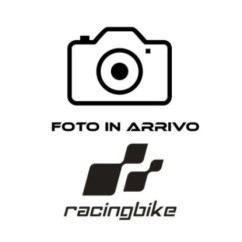 RACINGBIKE VETRO DI RICAMBIO PROTEZIONE DASHBOARD ECUMASTER ADU5 KTM DUKE 390 13-16 TRASPARENTE