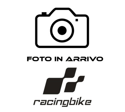 PUIG ALERON DELANTERO GP BMW S1000 RR 2023 AHUMADO OSCURO
